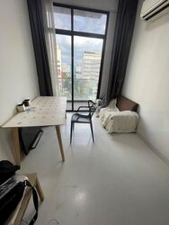 Neem Tree (D12), Apartment #456053071